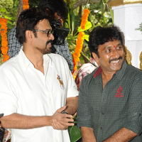 Venky and Trisha New Movie Launch Stilss | Picture 33934